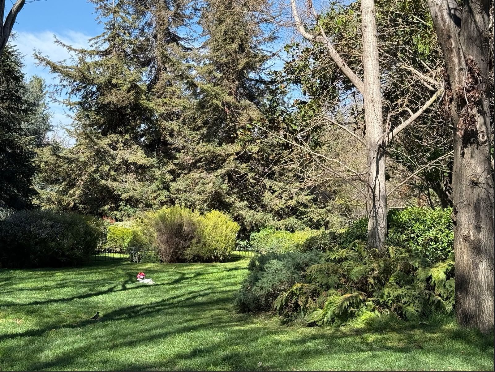 Parque memorial sereno - GraveCare Chile